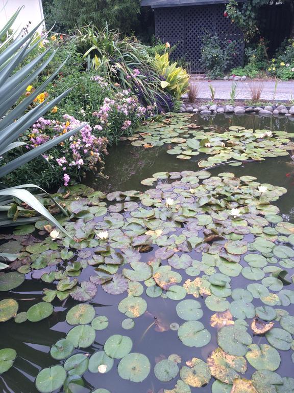 Water Lily Garden Panzió Christchurch Kültér fotó