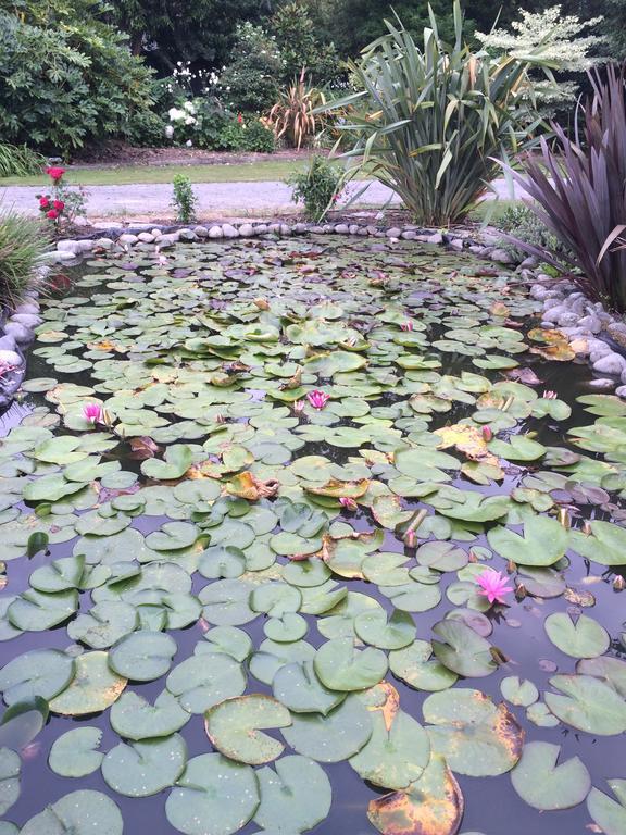 Water Lily Garden Panzió Christchurch Kültér fotó
